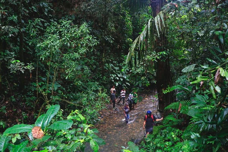 Aceh Information Commission Rules HGU Land Data as Public Information Following Legal Dispute with National Land Agency