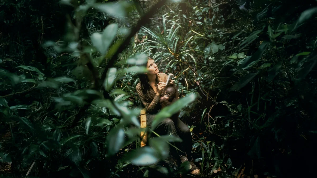 Birute Galdikas The Pioneer of Orangutan Conservation and Last of the Trimates Passes Away at 79