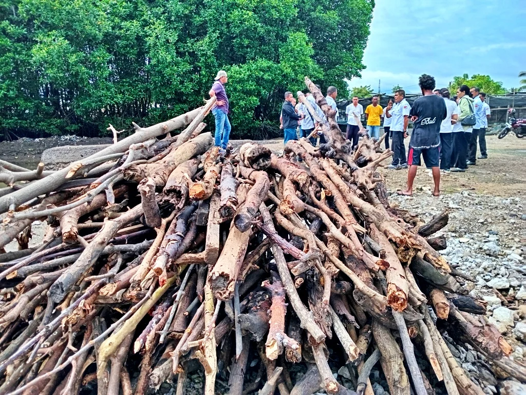 Coastal Communities in Sikka Raise Alarm as Mangrove Deforestation for Illegal Shrimp Ponds Threatens Ecological Security