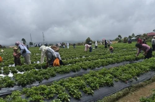 Kerinci Police Fortify Security to Ensure Seamless and Secure Eid al-Fitr Holiday for Tourists