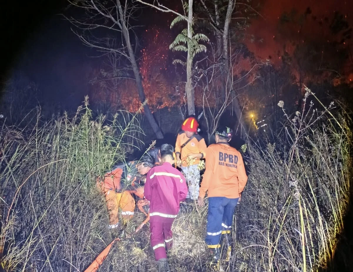 Rising Forest and Land Fires in North Kalimantan Signal Urgent Need for Improved Forest Governance and Industrial Oversight