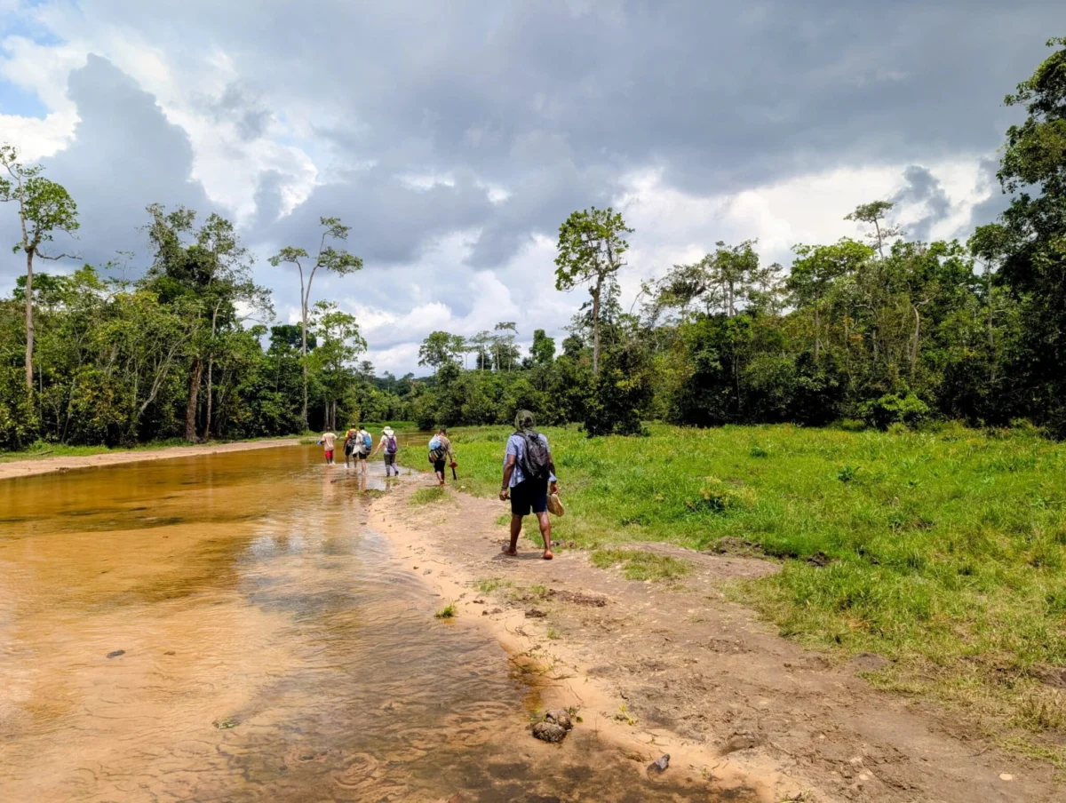 The Emotional Price of Conservation: Addressing the Mental Health Crisis Among Nature’s Protectors