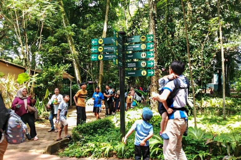 Tragic Loss of Bengal Tiger Cubs at Bandung Zoo Highlights Critical Management and Biosecurity Failures