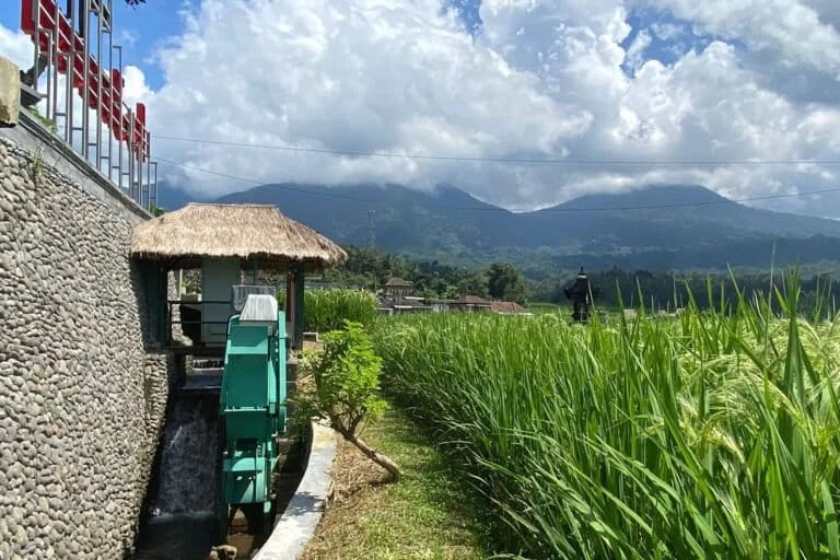Unlocking the Green Economy Potential of East Nusa Tenggara through Youth Leadership and Renewable Energy Innovation