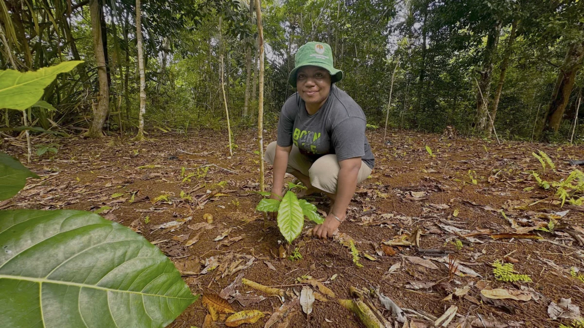 From Corporate Executive to Grassroots Guardian How Loesye Fainsenem is Empowering Women and Protecting Mangroves in Raja Ampat