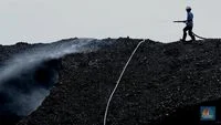 Global Energy Shift: Coal Prices Surge as Geopolitical Tensions and Energy Security Drive Nations Back to Fossil Fuels