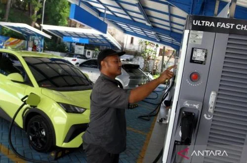 Indonesia Charts a Sustainable Path for Electric Vehicle Growth Beyond Government Incentives: An Expert Perspective on Market-Driven Strategies