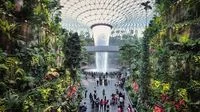 Singapore Changi Airport Transforms Transit into a Tourist Destination with Free Attractions