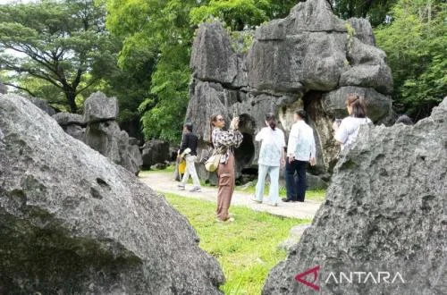 South Sulawesi Records Robust International Tourist Growth in Early 2026, Led by Asian Markets, While Domestic Travel Sees Slight Dip