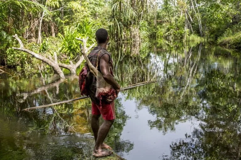 The Environmental and Social Toll of Large-Scale Development Projects on Papuas Indigenous Lands and Biodiversity