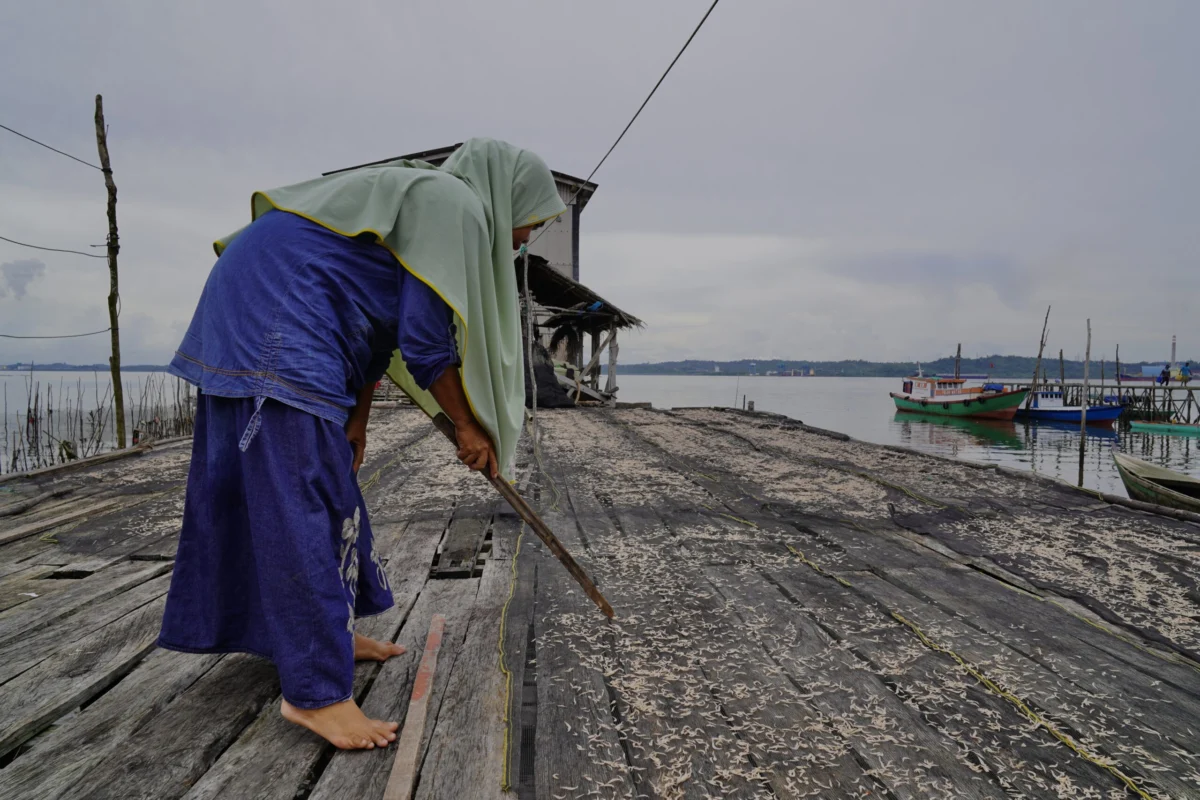 The Fading Livelihoods of Balikpapan Bay: How Industrial Expansion and Nickel Smelters Marginalize Coastal Women