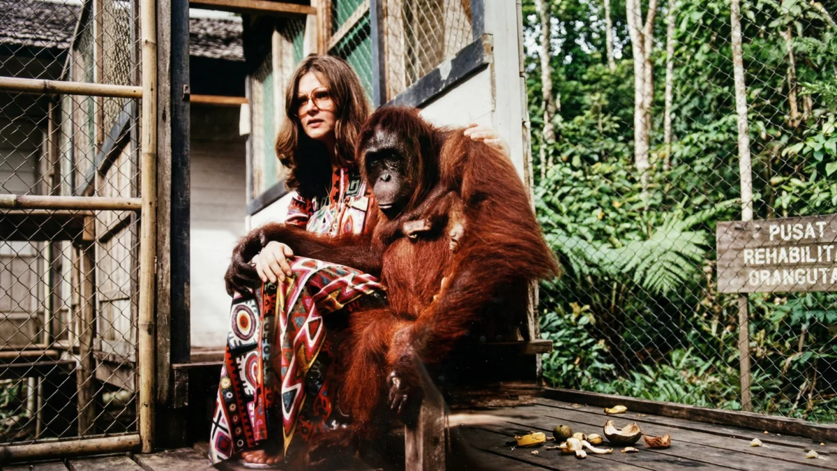 The Legacy and Life of Birute Galdikas: A Half-Century Struggle for the Orangutans of Kalimantan