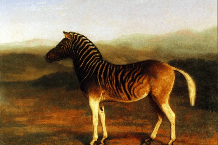 The Legacy and Resurrection of the Quagga From Victorian Extinction to Modern Genetic Frontiers