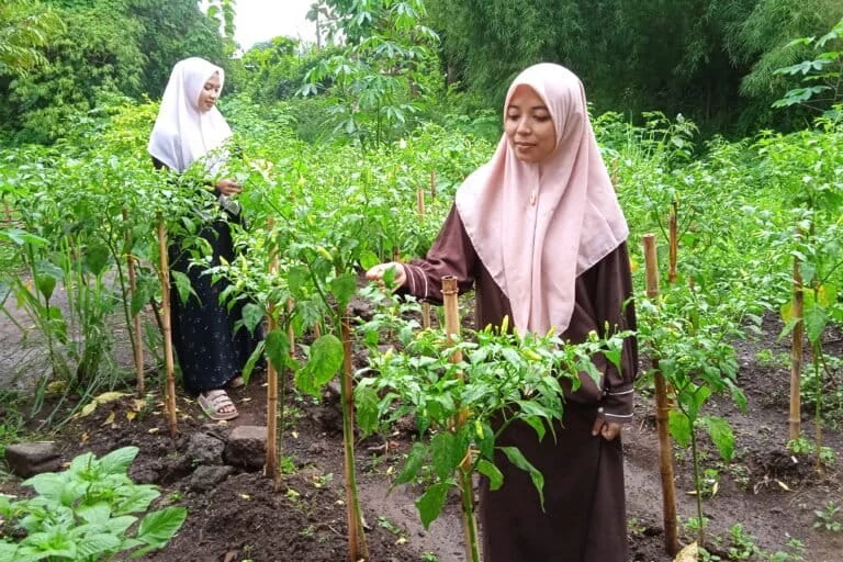 Cultivating Resilience and Character through Indonesias Growing Network of School Based Food Security Initiatives