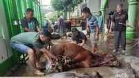 Eid al-Adha 1447 Hijriah Anticipated on May 27, 2026: Preparations Underway for the Sacred Ritual of Qurban