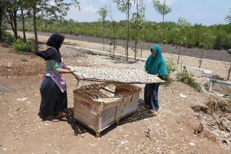 Environmental Challenges and Community Resilience A Deep Dive into Indonesias Ecological and Industrial Landscape in 2026