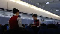 Flight Attendants Share Unbelievable Tales of Passenger Behavior