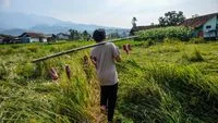 FOTO: Tinggalkan Plastik, Distribusi Kurban Beralih ke Wadah Alami