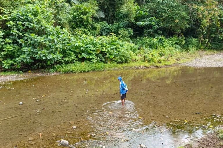 Gold Mining Conflict in Enrekang: Local Resistance, Corporate Maneuvers, and the Looming Threat to Agricultural Sovereignty
