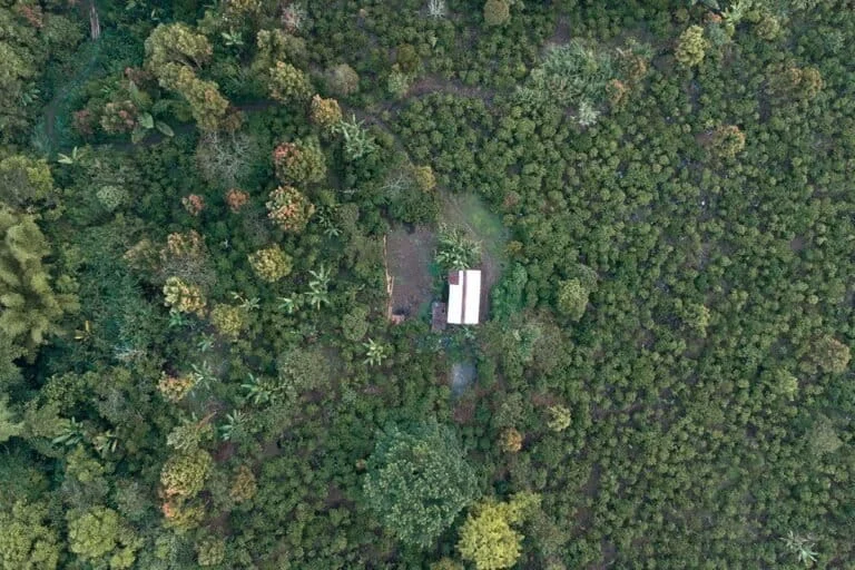 Harmonizing Human and Wildlife The Semende Tribes Ancestral Wisdom in Preserving the Siamang and the Jalur Agung Corridor