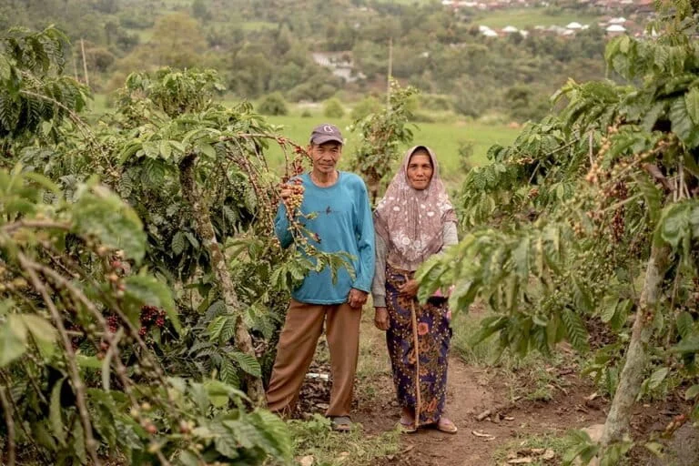 Harmonizing Tradition and Conservation The Semende Tribes Sacred Pact with the Endangered Siamangs of Bukit Lumut Balai