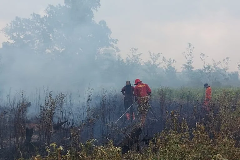 Indonesia Braces for Severe Forest Fire Risk as El Nino Godzilla and Positive Indian Ocean Dipole Converge