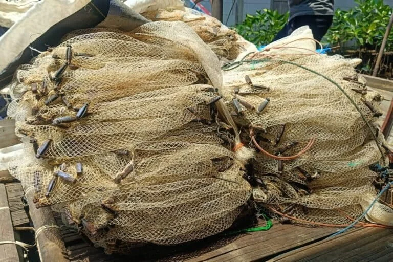 Industrial Pollution and Coal Waste Devastate Coastal Livelihoods in Muara Gembong as Fishermen Face Economic Collapse