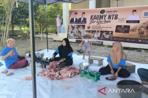 KAUMY NTB Distributes Sacrificial Meat to Six Lombok Villages, Upholding Community Welfare and Alumni Commitment