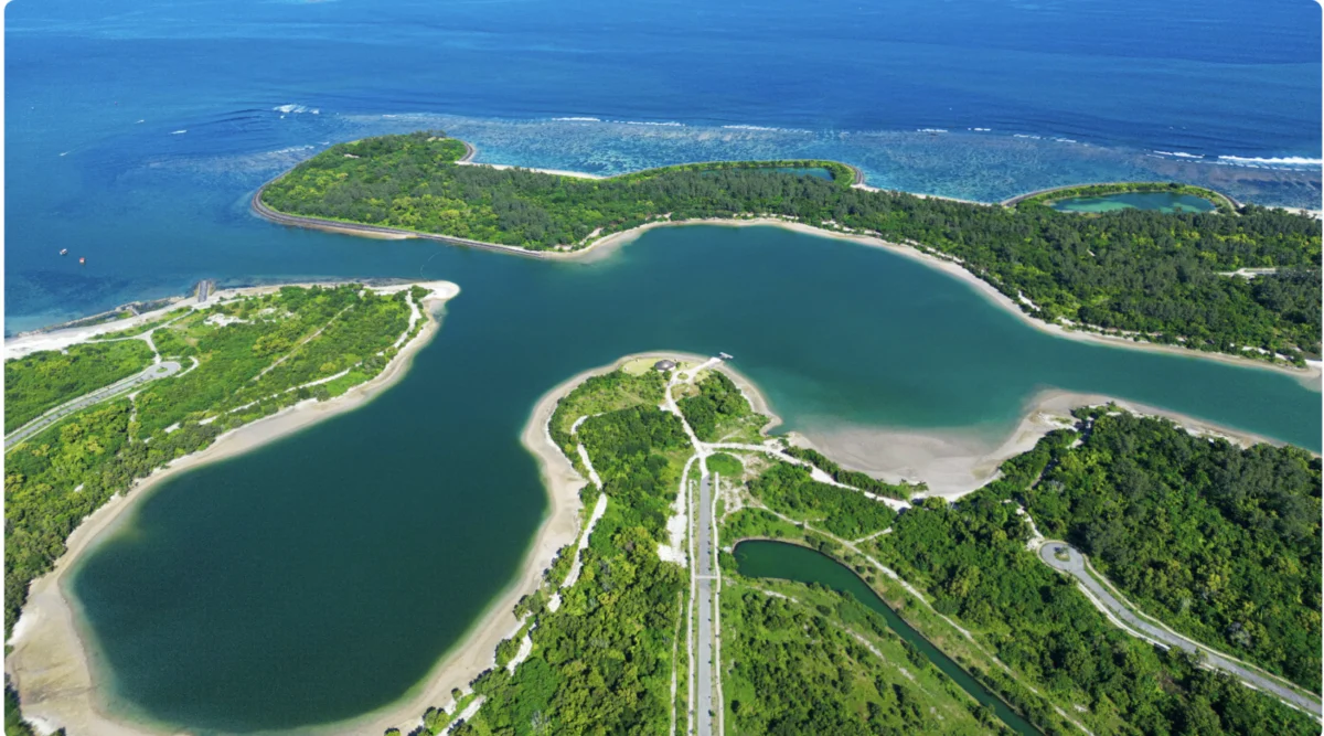 Mangrove Destruction and Land Swap Controversies Shadow the Development of Kura-Kura Bali Special Economic Zone
