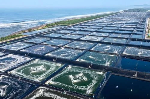 Measuring the New Direction of Food Self-Sufficiency and the Fisheries Sector