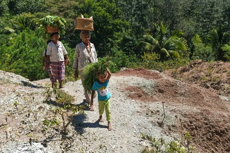Mongabay Launches Y. Eva Tan Conservation Reporting Fellowship to Empower Environmental Journalists Amidst Global Climate Crisis