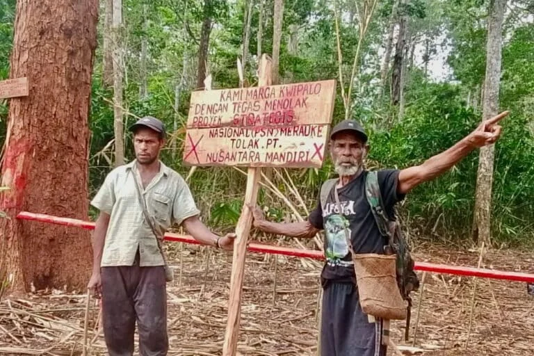 Opini: Pesta Babi, Merauke, dan Ujian Kebijakan Publik