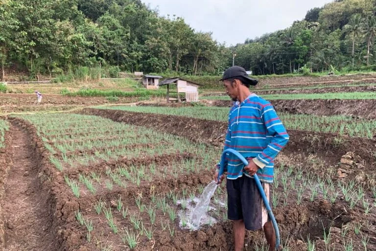 Rainwater Harvesting Ponds Transform Arid Bantul Farmland Amidst Escalating Climate Risks
