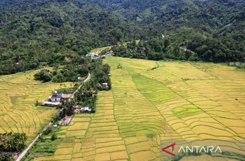Residents Petition President to Halt Gold Mining in Beutong Ateuh, Aceh, Citing Ecological Disaster Fears