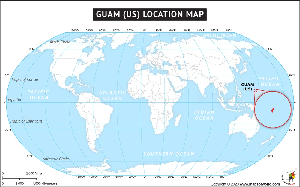 Silent Forests and Ecological Collapse the Devastating Impact of the Brown Tree Snake Invasion on the Island of Guam