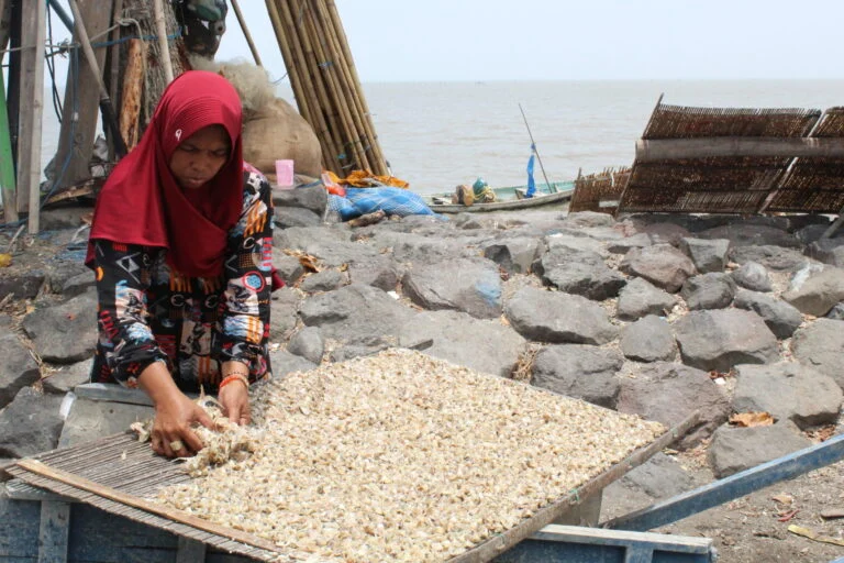 Surabaya Waterfront Land Reclamation Stalemate Deepens Amid Environmental Risks and Community Resistance