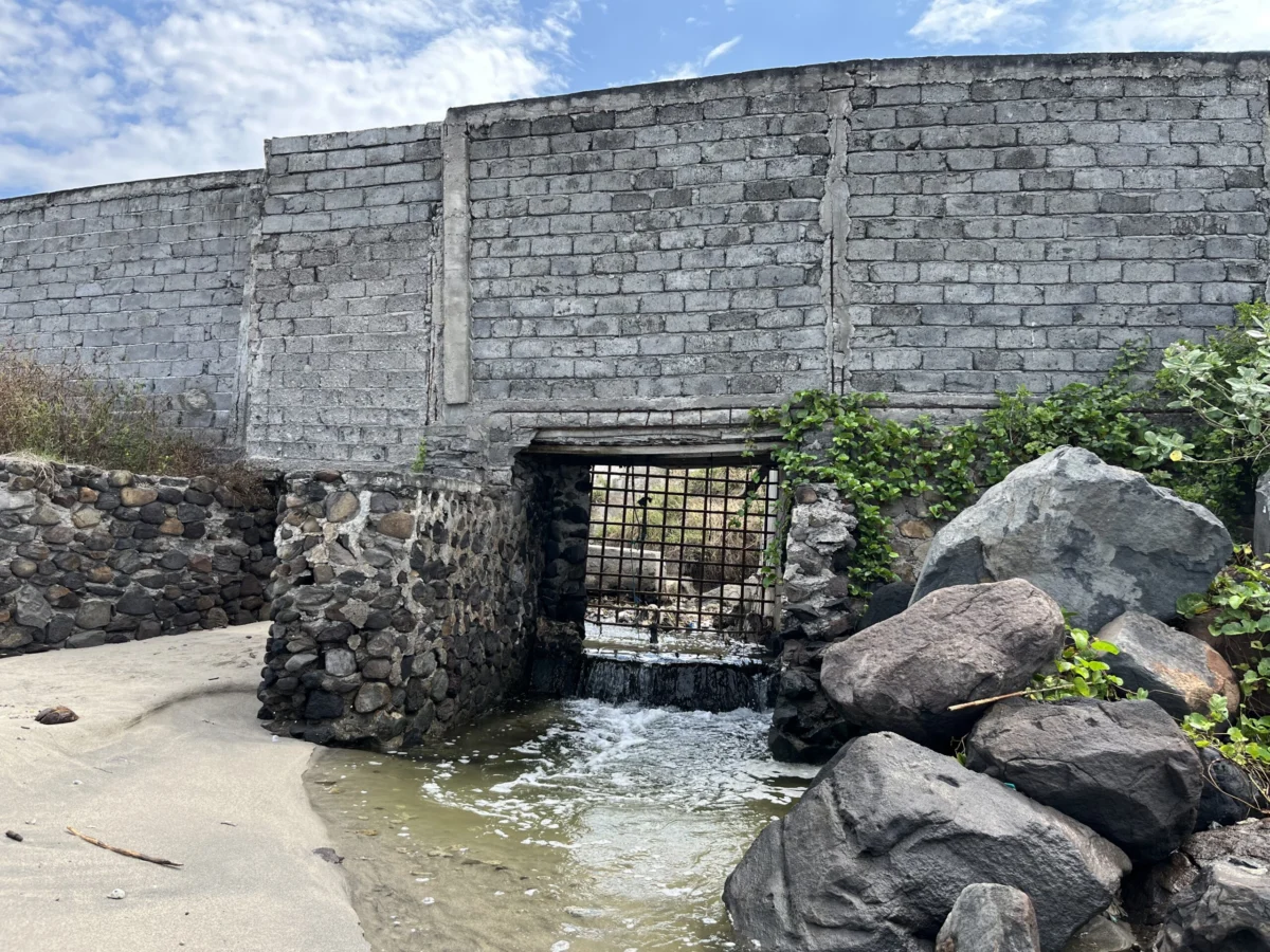 The Environmental and Social Cost of Shrimp Farm Expansion in East Lombok: A Crisis for Traditional Fishermen and Marine Ecosystems