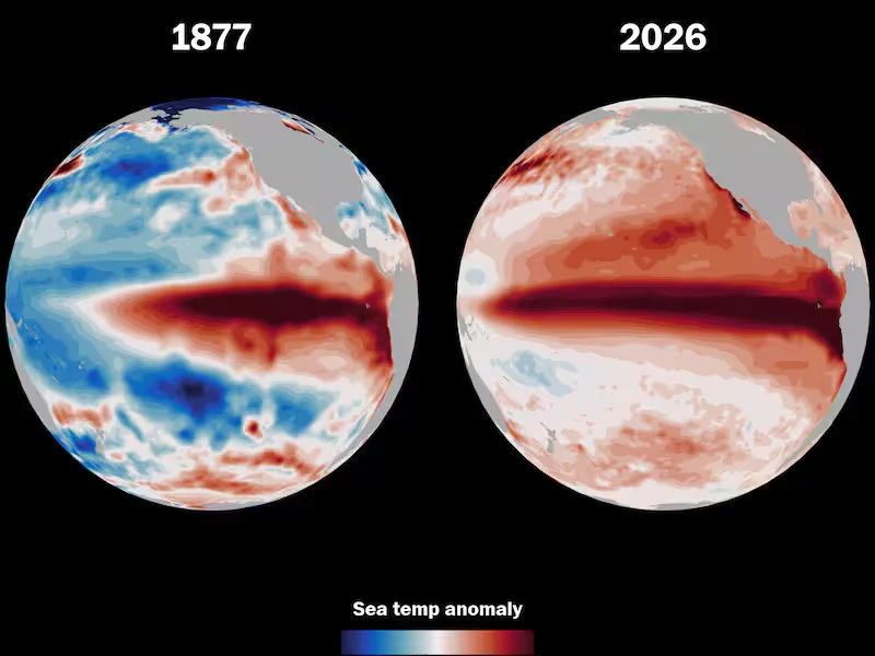 The Great Famine of 1876 to 1879 and the Global Climate Catastrophe of the Late Nineteenth Century