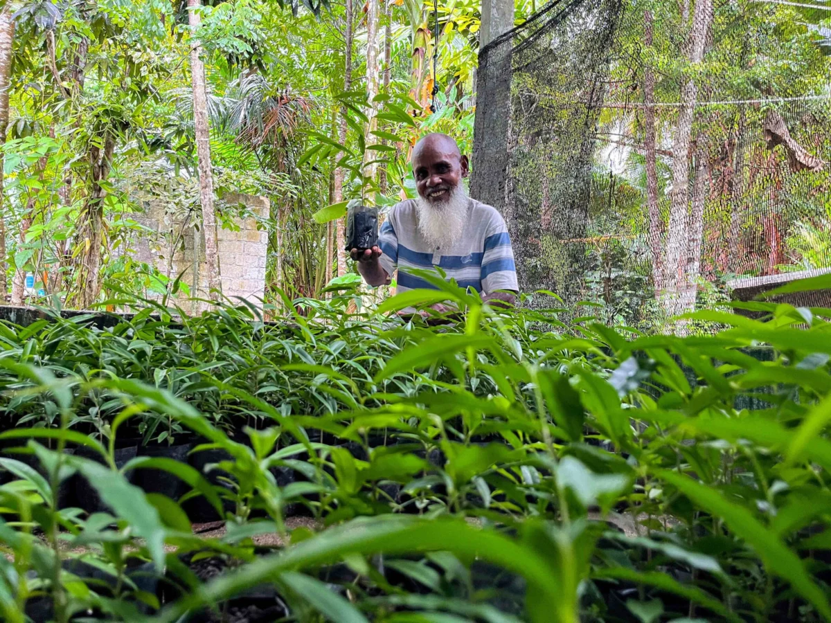 The Legacy of the Agarwood Guardian How John Wompere Transformed Papua’s Biak Island Through Sustainable Gaharu Cultivation