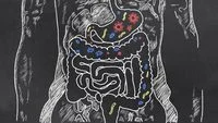 Three Signs of a Healthy Child’s Digestive System That Parents Need to Know