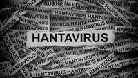 WHO Tracks Hantavirus on Aircraft After Cruise Ship Outbreak