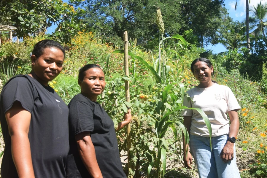Women of East Nusa Tenggara Drive Food Sovereignty and Climate Resilience Through Organic Gardening and Bamboo Conservation