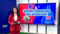 Ada Hantavirus, Hati-Hati Dompetmu Bisa Ikut Terinfeksi Lho!
