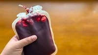 Donor Darah Berapa Bulan Sekali? Ini Jeda yang Dianjurkan