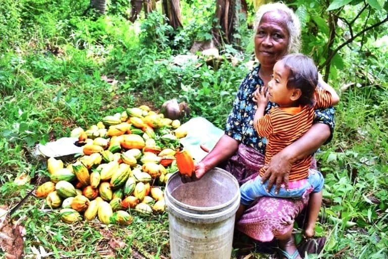 Empowering Women of East Nusa Tenggara Through Social Forestry: A New Era of Forest Management and Economic Independence