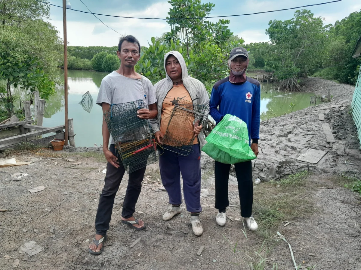 Guardians of the Mud The Economic Vitality and Environmental Stewardship of Mangrove Crab Fisheries in Bangkalan East Java