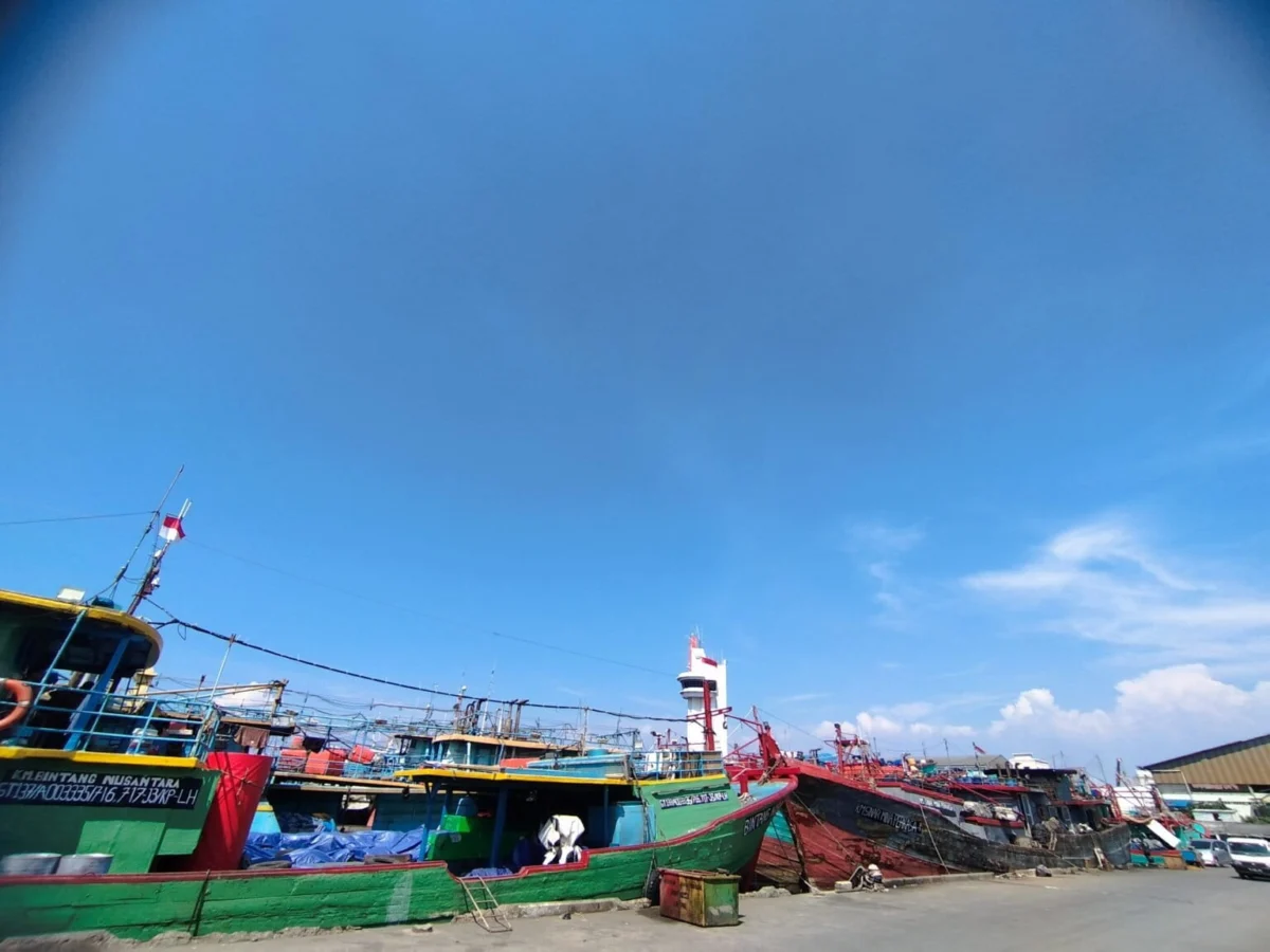 Indonesia Ratifies ILO Convention 188 to Transform the Fishing Industry and Strengthen Worker Protections