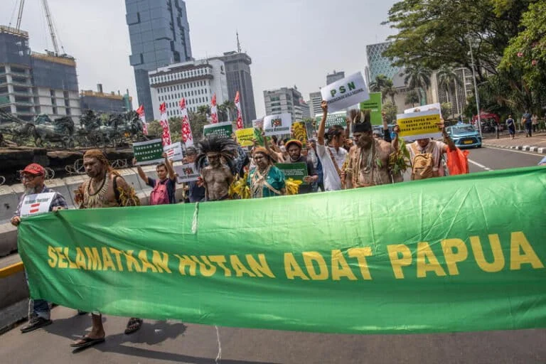 Pesta Babi: Examining the Legacy of State-Led Colonialism and the Erasure of Indigenous Land Rights in Papua