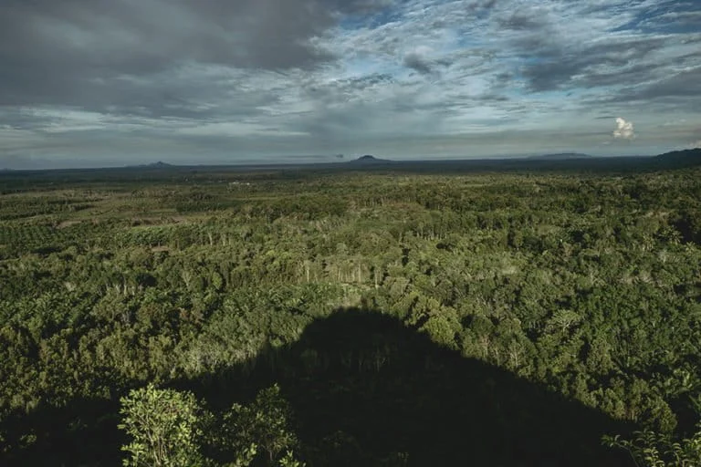 Sacred Hills and Vanishing Rituals: The Struggle to Preserve Bangka Islands Last Natural Bastions Against Industrial Deforestation