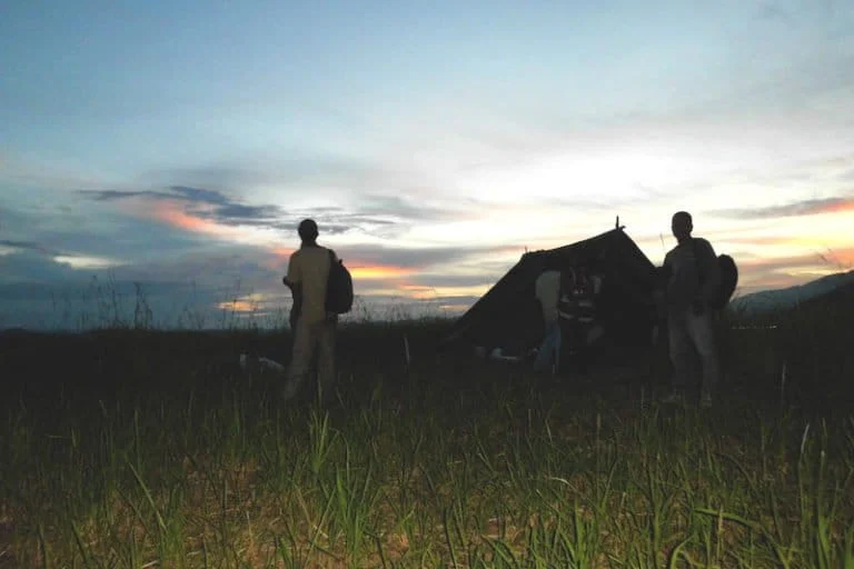 The Ancient Roots of Papua A Multimillennial Journey of Migration Culture and Genetic Synthesis